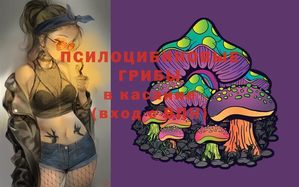 твердый Баксан