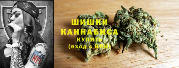 сатива Балабаново