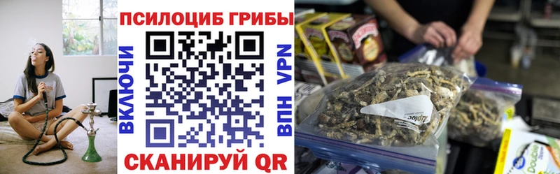 Псилоцибиновые грибы Cubensis  даркнет Telegram  Севск 